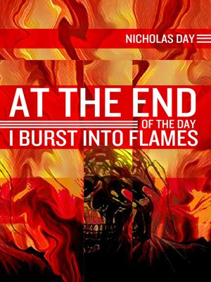 cover image of At the End of the Day I Burst into Flames